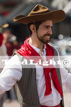 Salland Festival